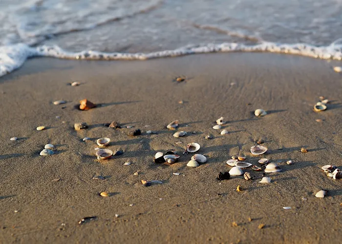 Apartment Vibrant With Pool-beahost Bibione